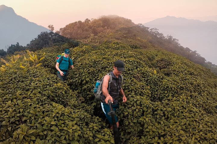 Knuckles Mountain Range Hiking and Trekking Day Tour